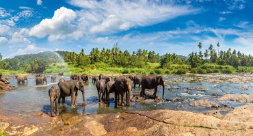 assets/images/tours/sri lanka/kandy.jpg